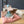 Maileg, Dance Mouse in Daybed, Little Sister