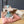 Maileg, Dance Mouse in Daybed, Little Sister