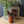 Maileg, Flower Pot with Plant