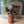 Maileg, Flower Pot with Plant