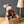 Maileg, Folding Chair, Mouse - Dots