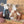 Maileg, Grandma and Grandpa Mice in Cigarbox