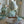 Maileg, Safari Friends, Hippo w. Tutu, Small - Mint