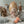 Maileg, Micro Bunny in Knitted Outfit (Orange)