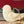 Maileg,Metal Ornament, Bird - Off White/Gold