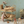 PRE-ORDER Maileg, Bunk Bed, Mouse - Wheat **DUE SEPT**