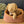 Maileg, Pet Basket - Powder