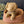 Maileg, Pet Basket - Powder