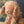 Maileg, Puppy, Small - Dusty Powder