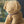 Maileg, Puppy, Small - Soft Sand