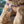 Maileg, Puppy, Small - Soft Sand