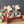 Maileg, Red Bench