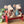 Maileg, Red Bench