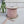 Maileg, Ribbon, 25 m - Powder