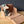 Maileg, Sofa Bed, Mouse - Dots