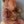 Maileg, Teddy Bear Plush, Medium - Dark Chocolate