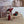 Maileg, Gingerbread House Gift Bag