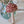 Maileg, Mushroom Ornament, Winter Flower - Red