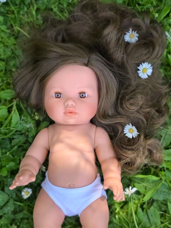 Mini Colettos, Alaska (Brunette with Brown Eyes)