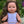 Mini Colettos, Alaska (Brunette with Brown Eyes)