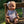 Mini Colettos, Alba (Hispanic Girl without Hair )