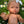 Mini Colettos, Alba (Hispanic Girl without Hair )