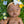 Mini Colettos, Aya (African Girl without Hair)
