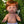 Mini Colettos, Jasper (Boy Doll with Brown Eyes & Red Hair) lying on grass surrounded by flowers.