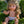 Mini Colettos, Kate (Blonde Hair Girl Doll with Blue Eyes)
