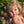 Mini Colettos, Kate (Blonde Hair Girl Doll with Blue Eyes)