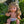Mini Colettos, Kate (Blonde Hair Girl Doll with Blue Eyes)