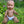 Mini Colettos, Nile (African Boy without Hair)