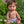 Mini Colettos, Rafael (Brunette Boy Doll with Brown Eyes)