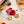 Advent Bundle Mixed x12