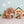 Olli Ella, Dinkum Dog Goldie - Gold