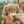 Olli Ella, Dinkum Dog Goldie - Gold