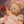 Olli Ella,  Fairy Food Set - Multi