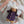 Olli Ella, Dress Me Dinky - Lila Lavender