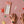 Advent Bundle Mixed x12