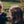 Rockahula Kids, Little Pumpkin Clips