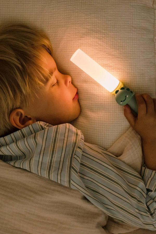 Zoofamily, Zoo Light Dino