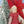 Load image into Gallery viewer, Maileg, Climbing Pixy - Girl in Red Dress

