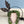 Rockahula Kids, Hubble Bubble Bat Headband